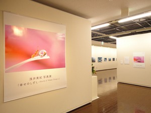 浅井美紀さんの写真展に行ってきました。