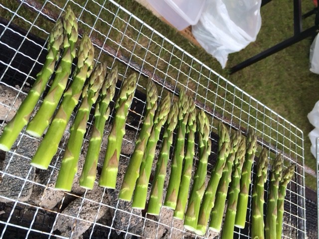 丸焼き♪食べられなかったけど。。笑 十勝若牛アスパラまつり!