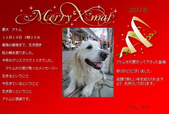 25日 今日が、クリスマス!!お誕生日の方おめでとう!!