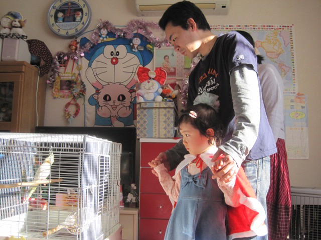 JAGAサンタ!オカメインコのかじやまさん・・・