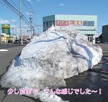 サービスショップブログ