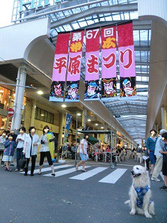 浴衣が着たくなる 平原祭り 14日 「夢降夜」