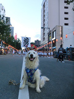 浴衣が着たくなる 平原祭り 14日 「夢降夜」