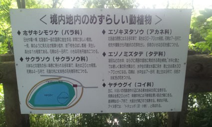 8月のまちマイは帯広啓北・栄地区!