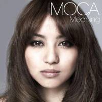 「Meaning」MOCA