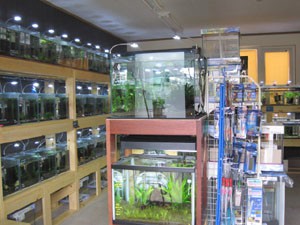 ☆8月3日☆ごえもんとはな☆