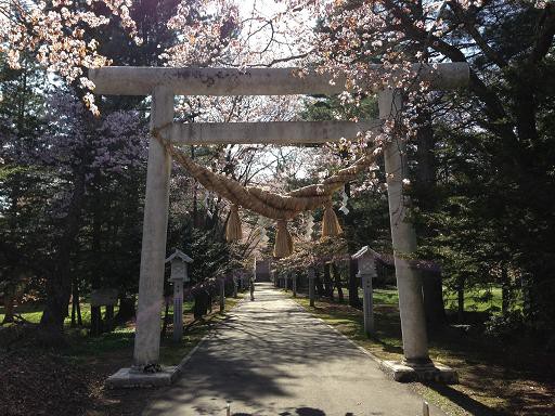 ☆5月21日☆音更神社 桜御守☆