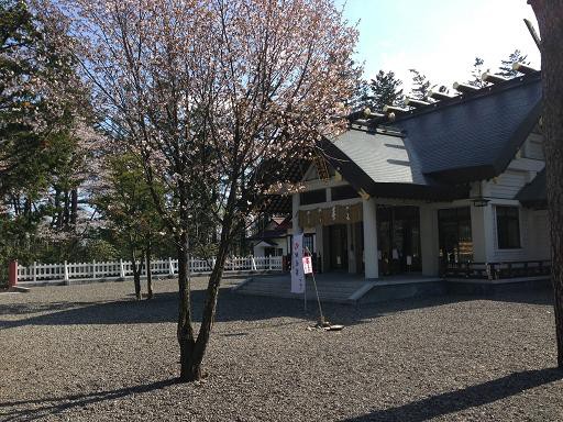 ☆5月21日☆音更神社 桜御守☆