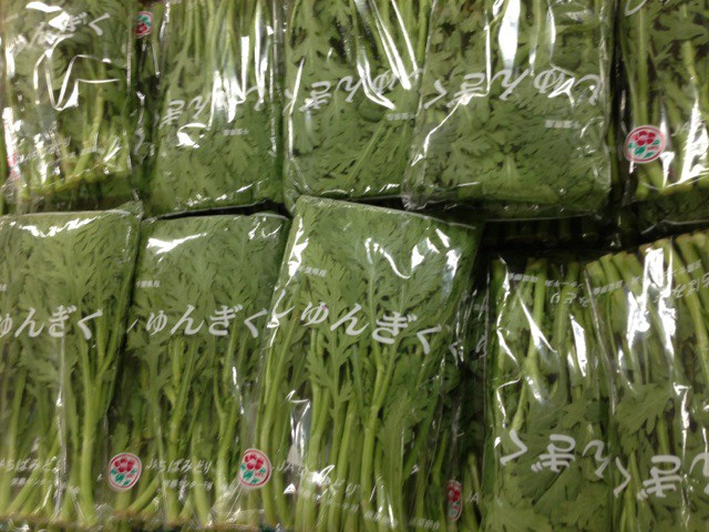 ☆1月21日☆イオン帯広店☆