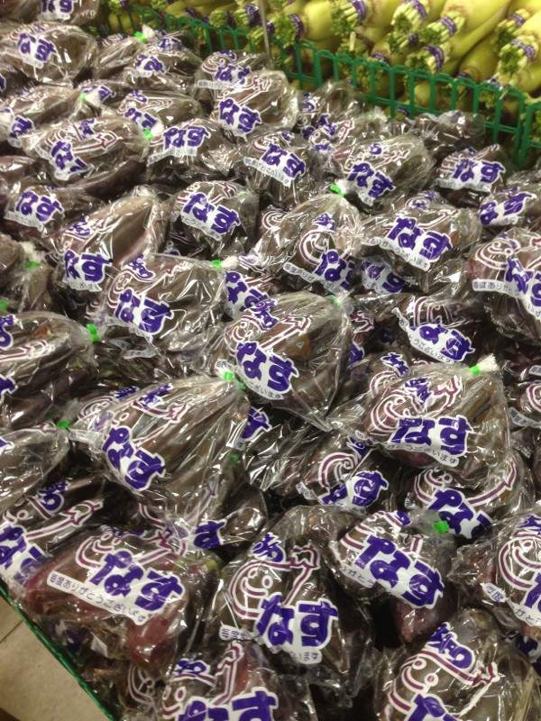 ☆1月28日☆イオン帯広店☆