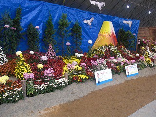 ☆10月30日☆おびひろ菊まつり☆