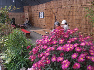 ☆10月30日☆おびひろ菊まつり☆