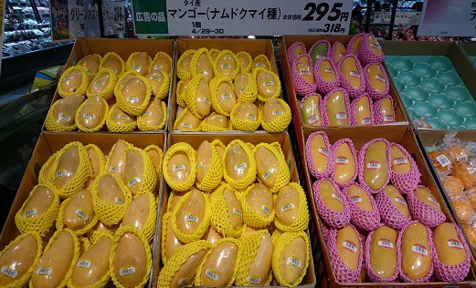 ☆4月29日☆マックスバリュ稲田店☆