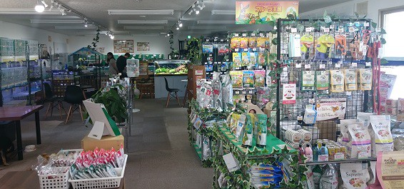 ☆6月6日☆いきものがかり ラビット店☆