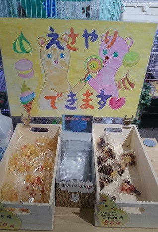 ☆6月6日☆いきものがかり ラビット店☆
