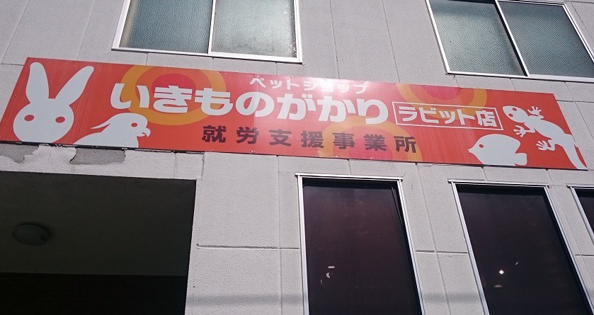 ☆6月6日☆いきものがかり ラビット店☆