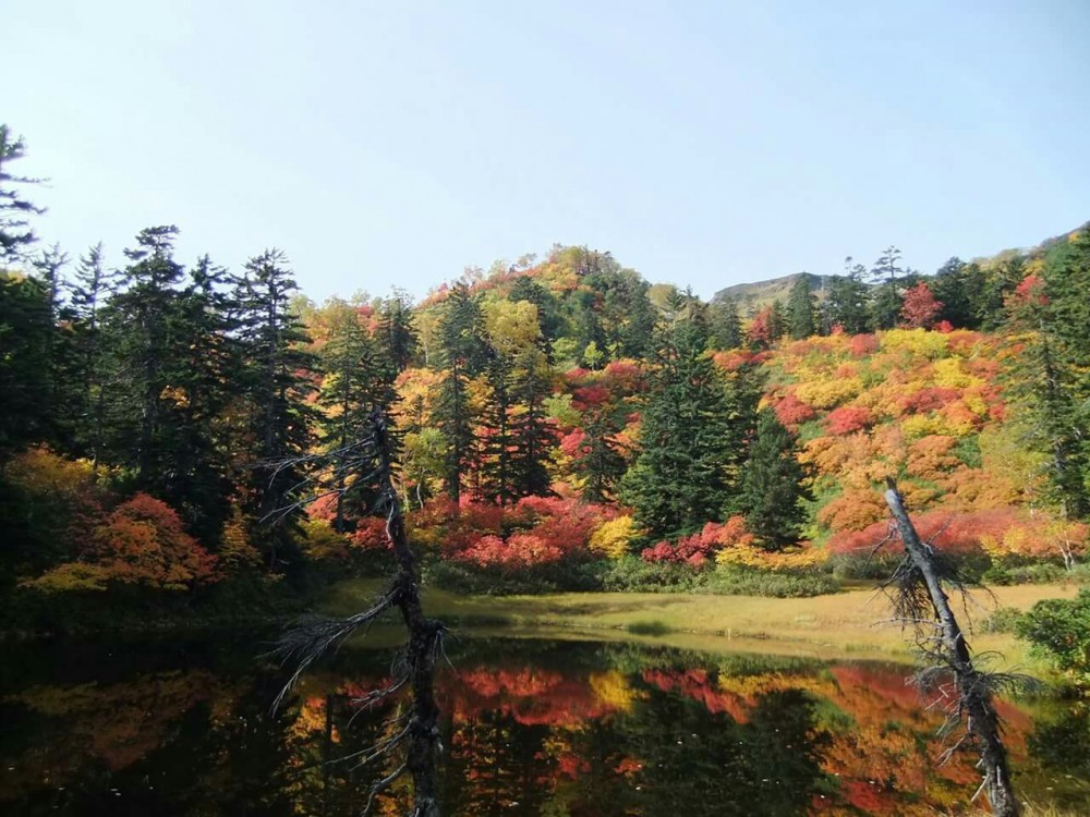 秋登山、してみませんか?