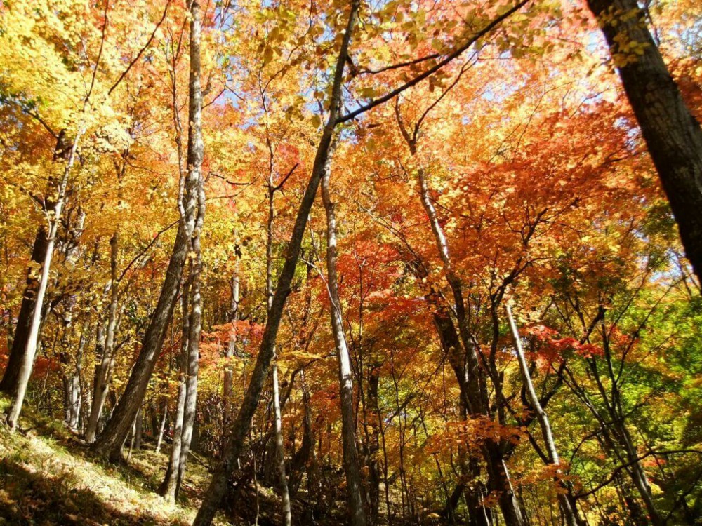 秋登山、してみませんか?