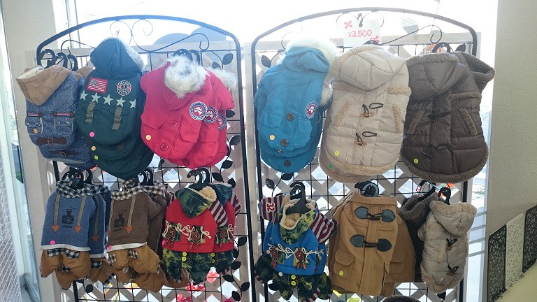 ☆10月24日☆ペットブテック CocoBell☆