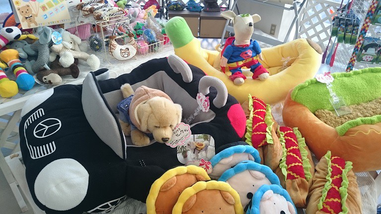 ☆10月24日☆ペットブテック CocoBell☆