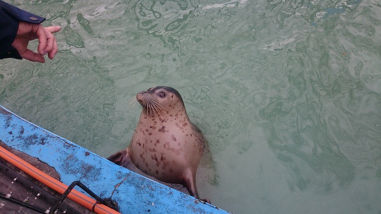 ☆11月23日☆おびひろ動物園☆