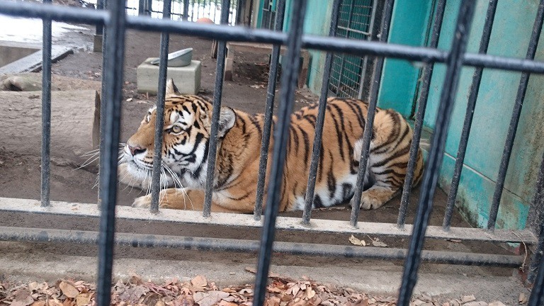 ☆11月23日☆おびひろ動物園☆