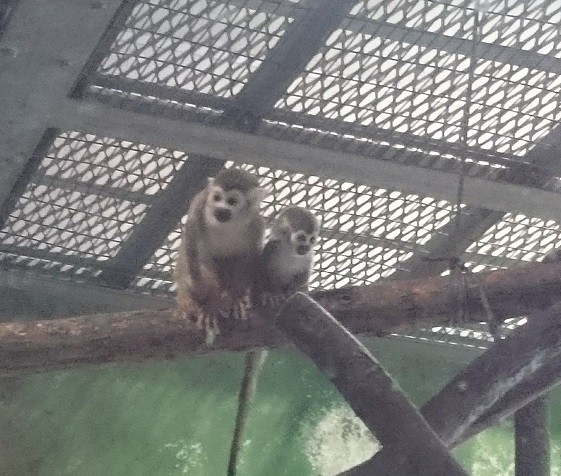 ☆11月23日☆おびひろ動物園☆
