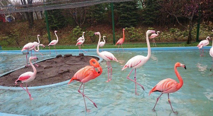☆5月3日☆おびひろ動物園☆