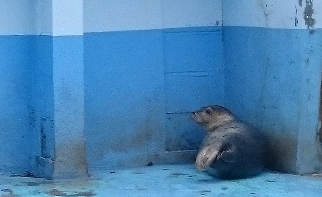 ☆5月3日☆おびひろ動物園☆
