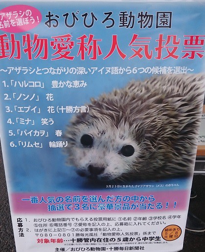 ☆5月3日☆おびひろ動物園☆