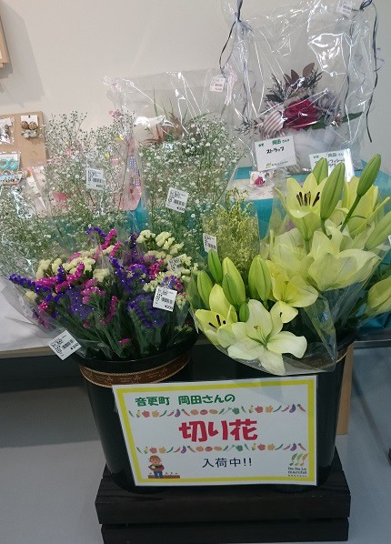 ☆7月5日☆じゃららマルシェ☆