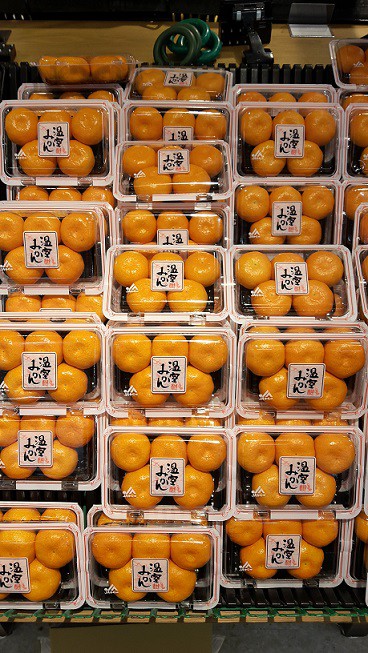 イオン帯広店火曜市 夏物セールも開催中!