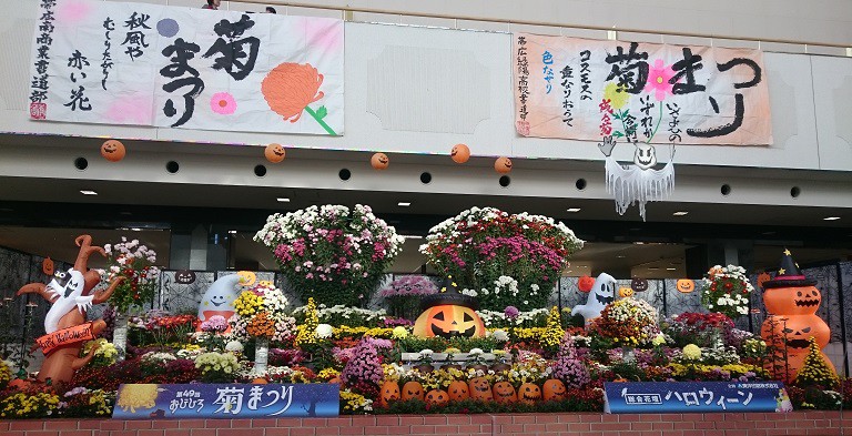 ☆10月29日☆おびひろ菊まつり☆