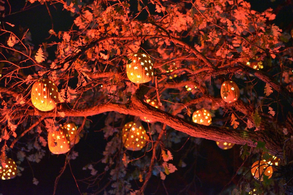 10月31日水曜日!