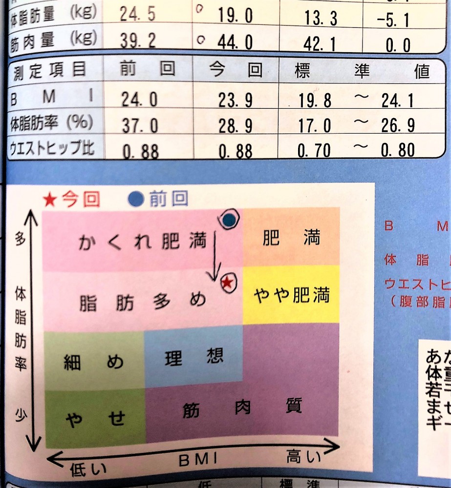 ガッツを見せろ!マラソン完結編