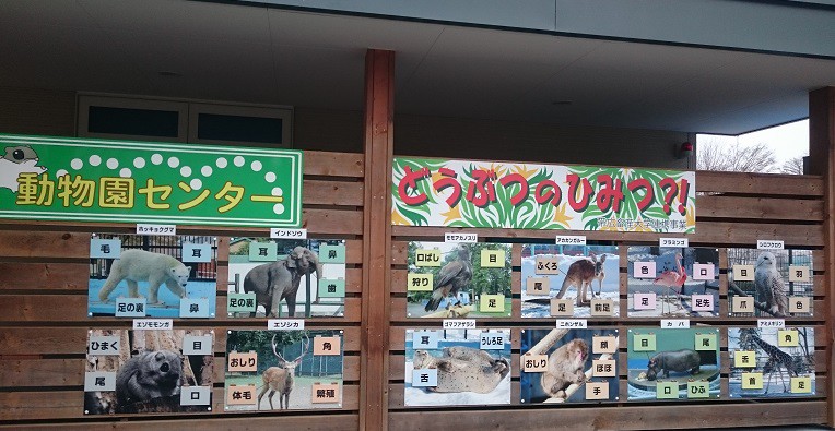 ☆12月6日☆おびひろ動物園 冬の開園☆
