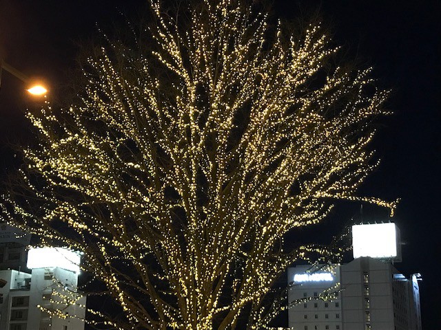 クリスマスリポート(帯広駅)