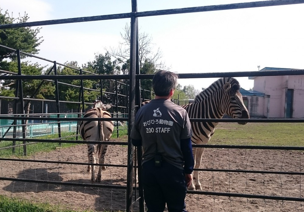 ☆5月9日☆おびひろ動物園☆