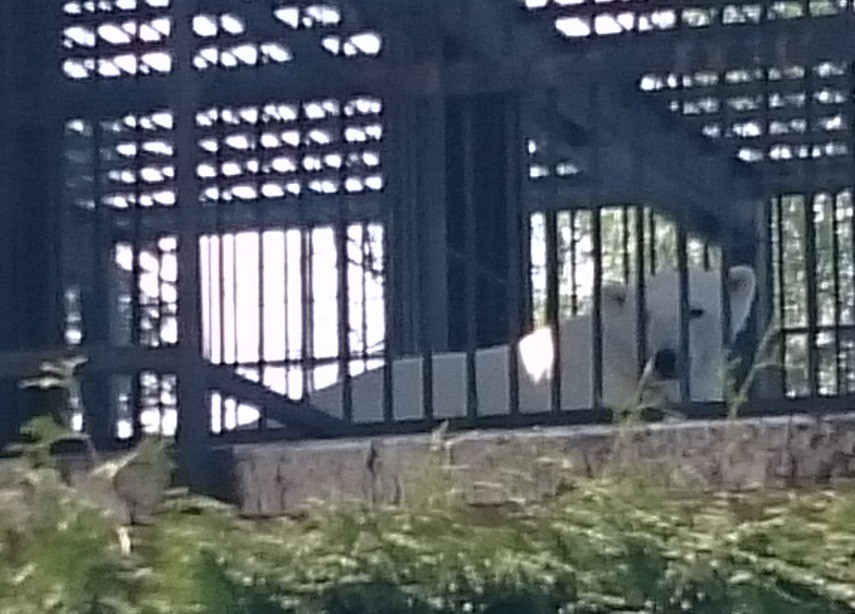 ☆5月9日☆おびひろ動物園☆