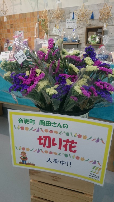 ☆6月13日☆じゃららマルシェ☆