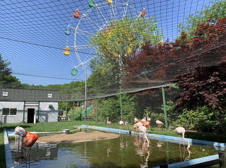 ☆6月4日☆おびひろ動物園☆