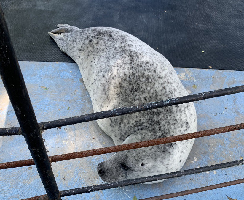 ☆6月4日☆おびひろ動物園☆