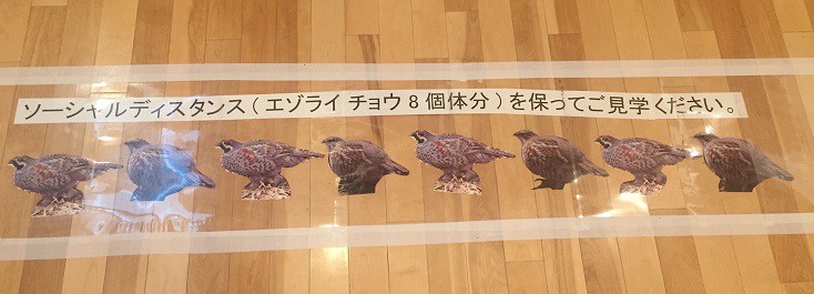 ◆ひがし大雪自然館で昆虫のイベントを開催します◆