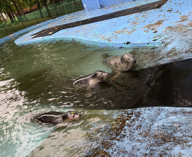 ☆10月1日☆おびひろ動物園☆