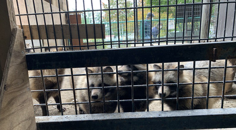 ☆10月1日☆おびひろ動物園☆