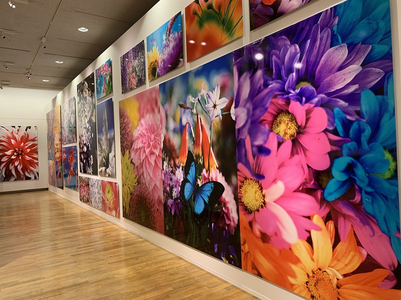 ☆10月8日☆蜷川実花展☆