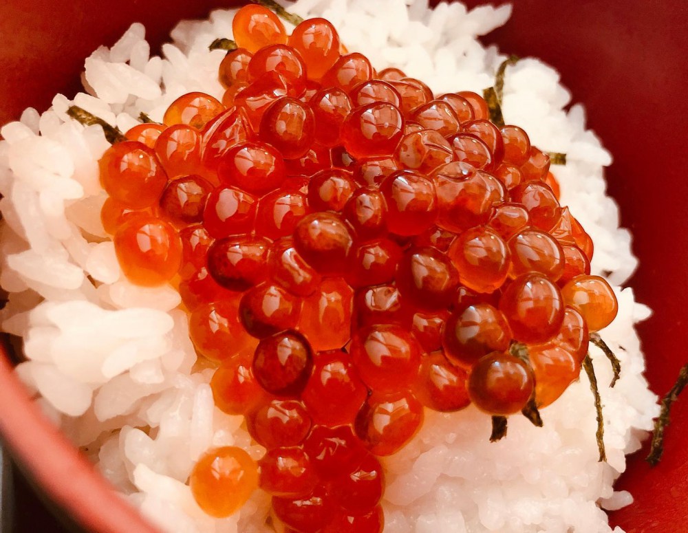 和食日和『種』