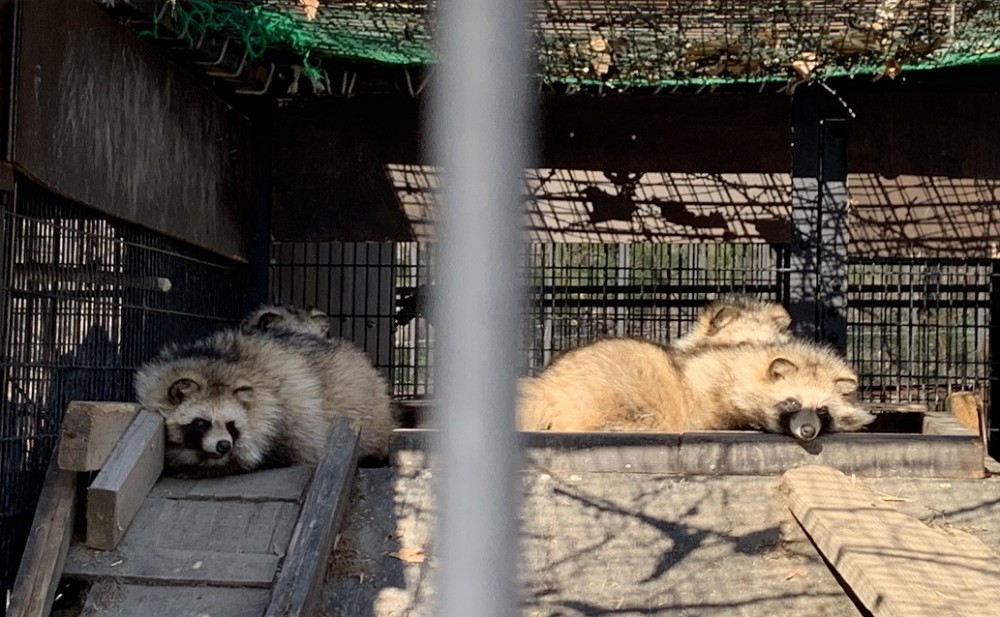 ☆2月25日☆おびひろ動物園☆