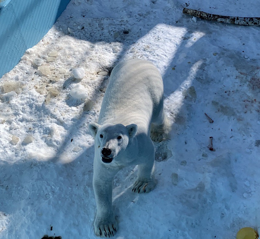 ☆2月25日☆おびひろ動物園☆