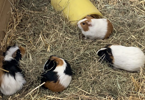 ☆2月25日☆おびひろ動物園☆